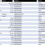 لیست اکسل شماره تماس موبایل تلفن فروشندگان و تامین کنندگان قطعات لوازم یدکی هیوندای و کیا | HYUNDAI and KIA Part Sellers Contact List