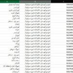 لیست خام اکسل شماره تماس موبایل مشاغل مرتبط با خودرو وسایل نقلیه ماشین سواری تهران ( 263251 رکورد )