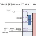 PDF پین اوت پژو 206 اس دی و دنا و رانا – PEUGEOT 206 SD & DENA & RUNNA – FCM P6L ECO MUX PINOUT